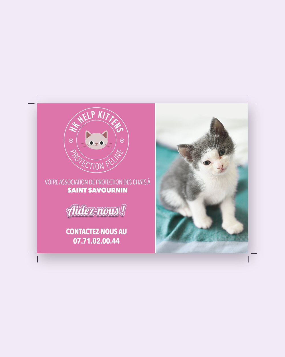 Affiche HK Help Kittens
